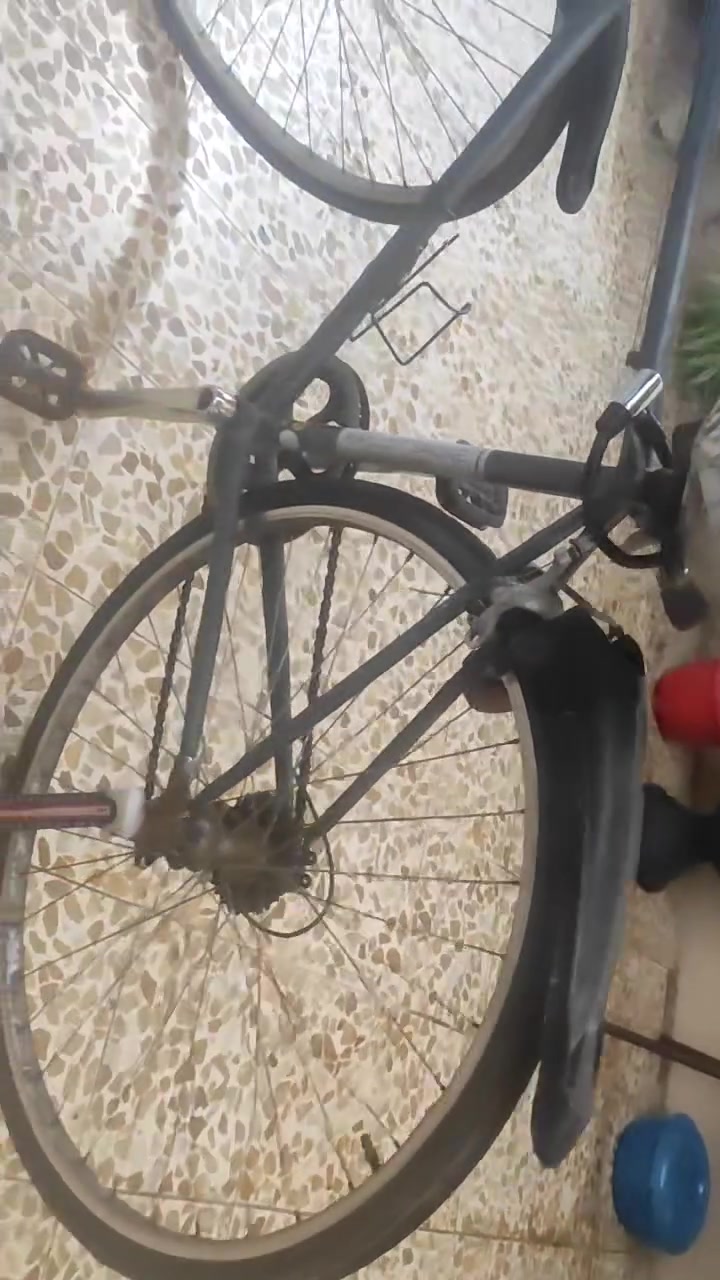 بايسكل سباق باله للبيع 🚴🏻
كير شغال ونظيف
البايسكل بس يحتاجله وكافيه

الموقع: موصل حي المنصور قرب جامع يحيى الامام 

السعر: خاص


**إذا كنت صاحب هذا الإعلان وتريد حذفه لأي سبب، رجاءا أرسل رسالة إلى الدعم الفني**