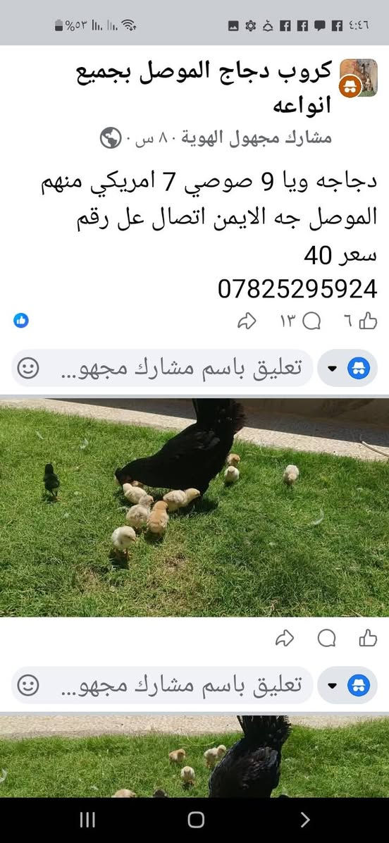 السلام عليكم من رخصت ادمن ستوته للبيع موديل ١٦ محرك ٢٥ شرط مامفتوح شاصي قطره لحيم مابي السعر مليون وا ٣٠٠ متوجد رقم ***********
