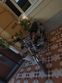 دراجه سيفان • مديل ٢٥ • دلي عباس