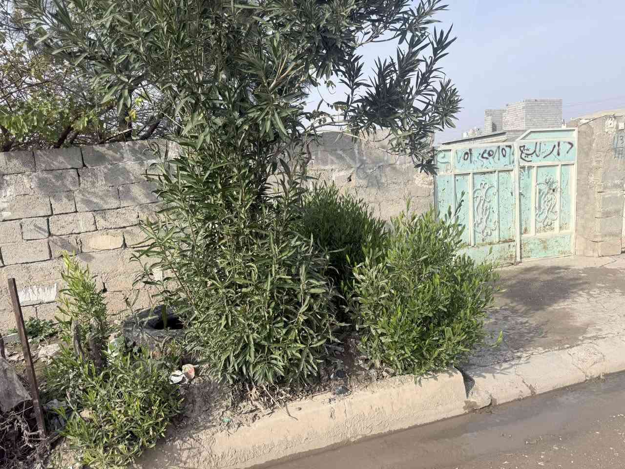 قطعه للبيع مساحه 600 متر  مكان حي معسكر طول 45 والعرض 14 شارع مبلط مي وكهرباء القطعه على شكل بيت تقريبا حتى ماجره ايجار الاستفسار اكثر خابر ***********
