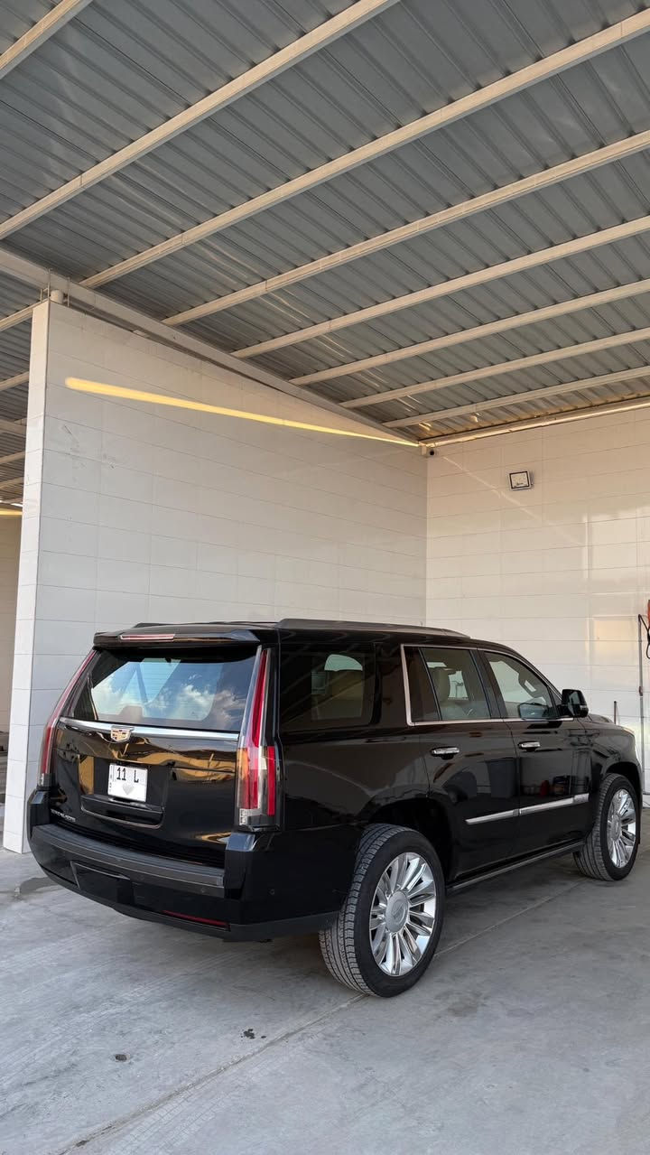 سلام عليكم للبيع 
او مراوس ب تاهو او كديلاك موديل 23-24

كديلاك اسكاليد بلاتينيوم 2019 مساج 
وكاله المنصور 
رقم بغداد باسمي 
كفالة عامه بارد بسيط مكانين 
سياره نضيفه جداً 
لون اسود ملكي.  
وكالة المنصور …….
 محرك 8 سلندر 6200
المواصفات غني عن التعريف فول 1/1
كشنتات مساج 
فتحه سلايد روف 
بصمه تشغيل عن بعد 
شاشات خلفيه و DVD بالقمارة 
قمارة كنتارا 
. دواسات جانبيه كهربائيه 
. جنطه كهربائي شفط 
الكراسي الخلفيه كهرباء  
. انضمه قيادة رياضي ثلجي و اعتيادي 
. قيادة آلية  والتنبيه عند الخروج من المسار 
كشنات هزاز 
شاشه لليزريه متحركه مع مجموعة متحركه من الضبط 
. تحكم بالمس منضمه التبرؤد الخلفيه 
داتا شو HUD
. شاشه دشبول وسطيه متكاملة الإعازات مع قاصه 
. رادار أمامي لمنع التصادم وضبط المسافات 
. كامره سياره عدد 5 مع رؤيه 360 درجه 
. كامرات خلفيه عدد 2 
كامره تحكم في الداخل مع مرايه اللجامه 
. ثلاجه داخليه 
شاحنه واير لليس 
.دبلات جوبلس
.تدفئه بالستيرن
.كشن هزاز 

معروضه ب سعر مناسب 
للاتصال رقمي ***********
العنوان بغداد البياع
