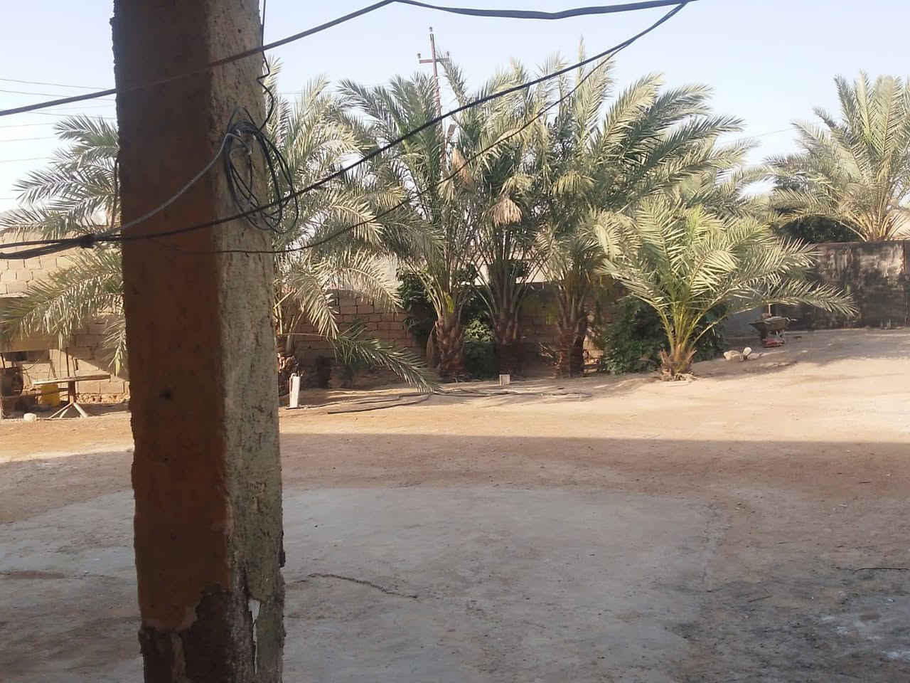 هاي الفرص الي يدور شي مرتب 
2000متر 
الرمادي زنكوره قرب متوسطة الجهاد
سعر مناسب 
استفسار أكثر ***********

