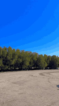 سياره البيع 2013 مسجله 21 مداور ثاني يوم مكفوله كفاله عامه 
مكان سياره بصره سعر 5 دفاتر ***********
