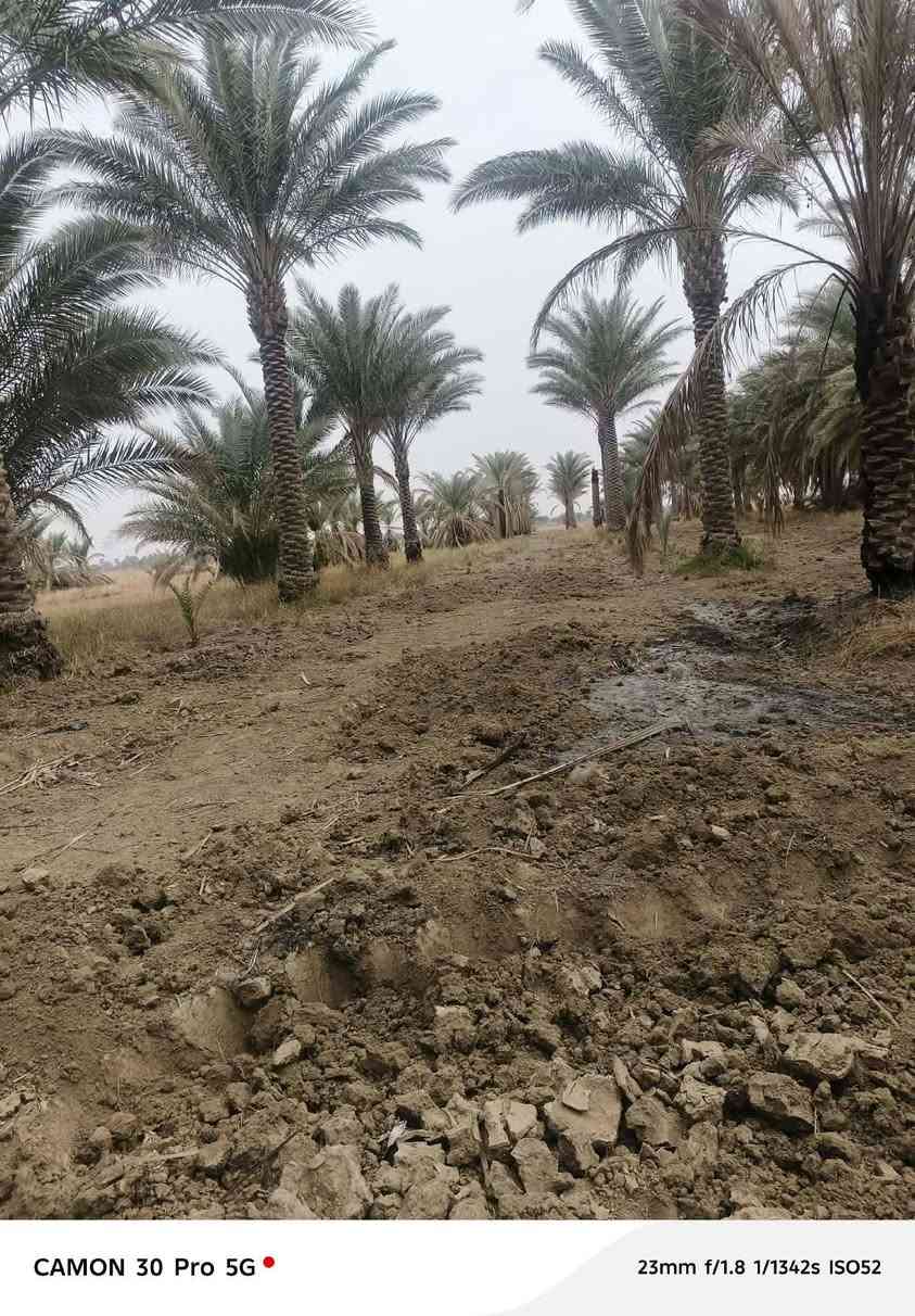 دونميين ونص بيهه بستان وبيت طابق واحد غرفتين ومطبخ وصحيات داخليه و خارجيه ومدخل وبراني وصاله مكانهه ع الحولي الجديد مال الهلالات.للتواصل ***********
