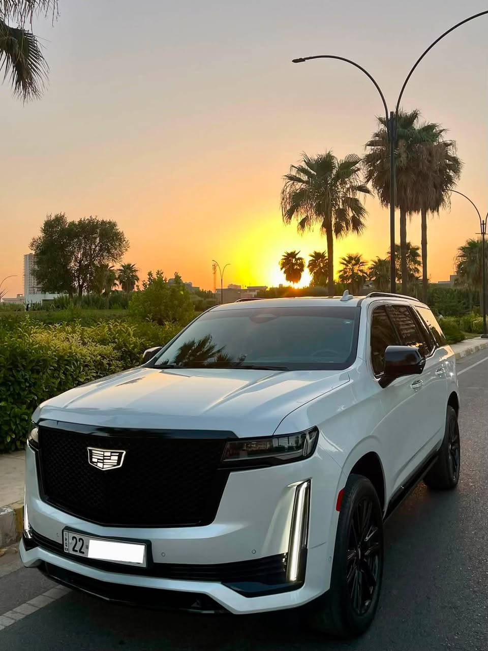 Cadillac (600) 2021 شرکە منصور ضمان دولي
کلین دعامیە لدعامیە مکفولە
ماشیە فقط ٣٥ الف کیلو
٣٦ سماعە
کشنات مساج
داتاشو
فوول مواصفات 
مکان : اربیل
للستفسار : ***********
