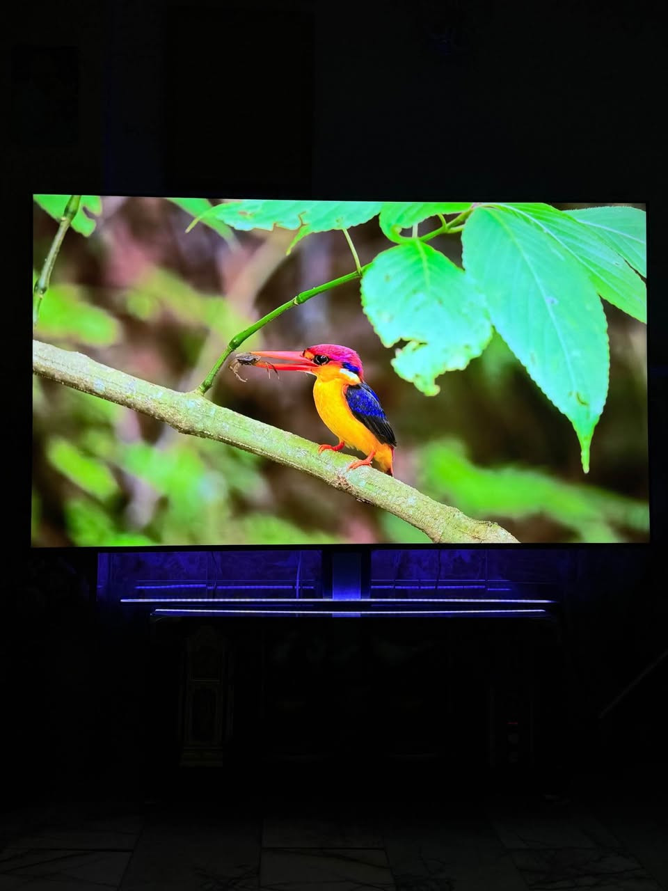 شاشه tcl حجم 85 نظيفه جدا للبيع Qled 4k تدعم 120 هرتز كامل ملحقات للعلم سعر شراء مليونين و 200 
واني عارضه ب مليون و 250 بغداد, العراق


**إذا كنت صاحب هذا الإعلان وتريد حذفه لأي سبب، رجاءا أرسل رسالة إلى الدعم الفني**