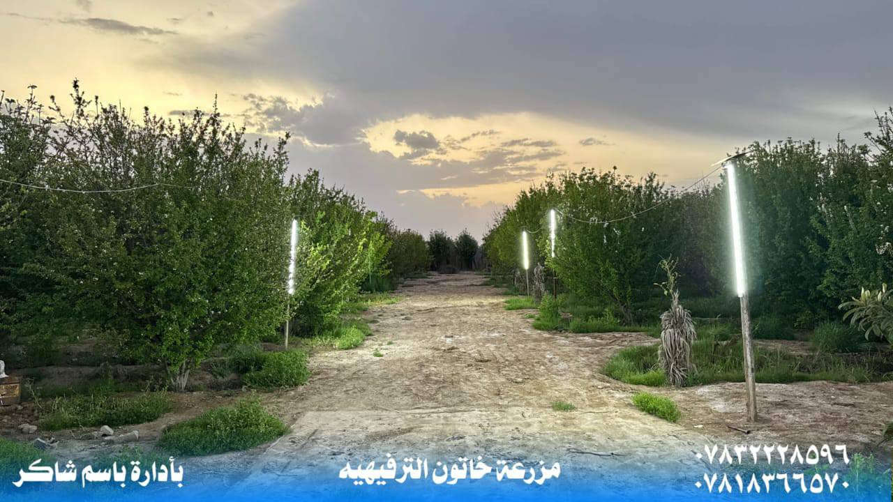 مزرعة خاتون العنوان بلد  وبأسعار مناسبه 
غرف نوم عدد ٢
صاله مطبخ صحيات 
سبالت عدد 
حديقه عدد 2
مشوايه 
مرجوحه 
ملاعيب اطفال 
فيشه 
منظده 
انترنيت 24ساعه
كهرباء ٢٤ ساعه 
كراج يكفي أكثر من7 سيارات 
التواصل واتساب ***********
