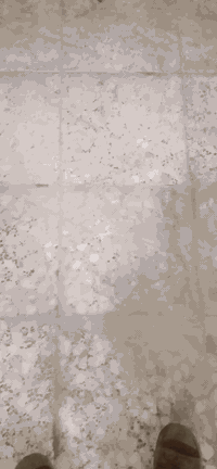 السلام عليكم بنكو سيارة 93 البيع كوم حديد بدون رقم مكاني بغداد المعامل سعر السيارة 20 ورقع بدون عمله ***********
