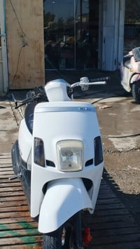 ماكس بوليسي • مكفولة • عيب بسيط