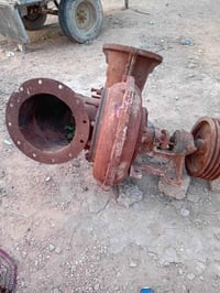 خنزيره الفايق الدجيلي/10/12 للبيع على هذا رقم 07800142748