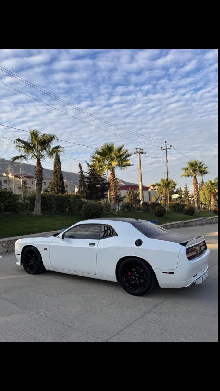 جالنجر 18 بيع او مراوس BYD
3.6 تو ويل
حادث فقط بنيد ومبدل
بيها ملاحضات بسيطه عارضها 165
 تفاصيل خاص 
ما يعجبك السعر ان شاء الله تلكه السعر اليعجبك"
شراي احطك على راسي وبالسعر اليرضيك
***********
