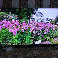 شاشة ٥٥ • نظيفة جديدة • حي النصر