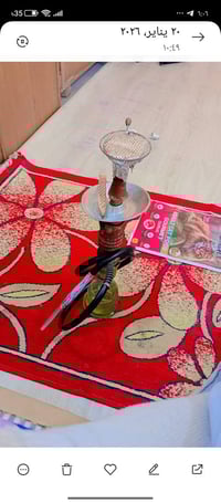 نركلتين • الماني صغير • كربلاء طوريج