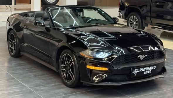 احلة جو هسه ماا سفرات وتاخذ العائلة وبيهج كشف ونظافة وبسعر سوناتا وبكيفك بعد

موستنك 2023

 ماشية 50 الف

بنيد مبدل لون اصلي صبغ فقط خشم جاملغ ايرباك فقط رجل راجع سستم شركة  سيارة جديدة.

جدا رقم اربيل

مكينة 2000 ايكوبوست ببربيوم

مكانه بغداد شارع فلسطين

***********

#السعر_الطلب_في_التعليقات
