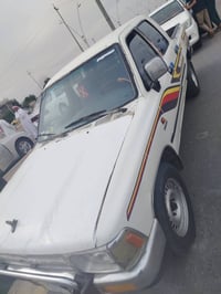 ١٩٩١ • صبغ عام • مكفول شاصي