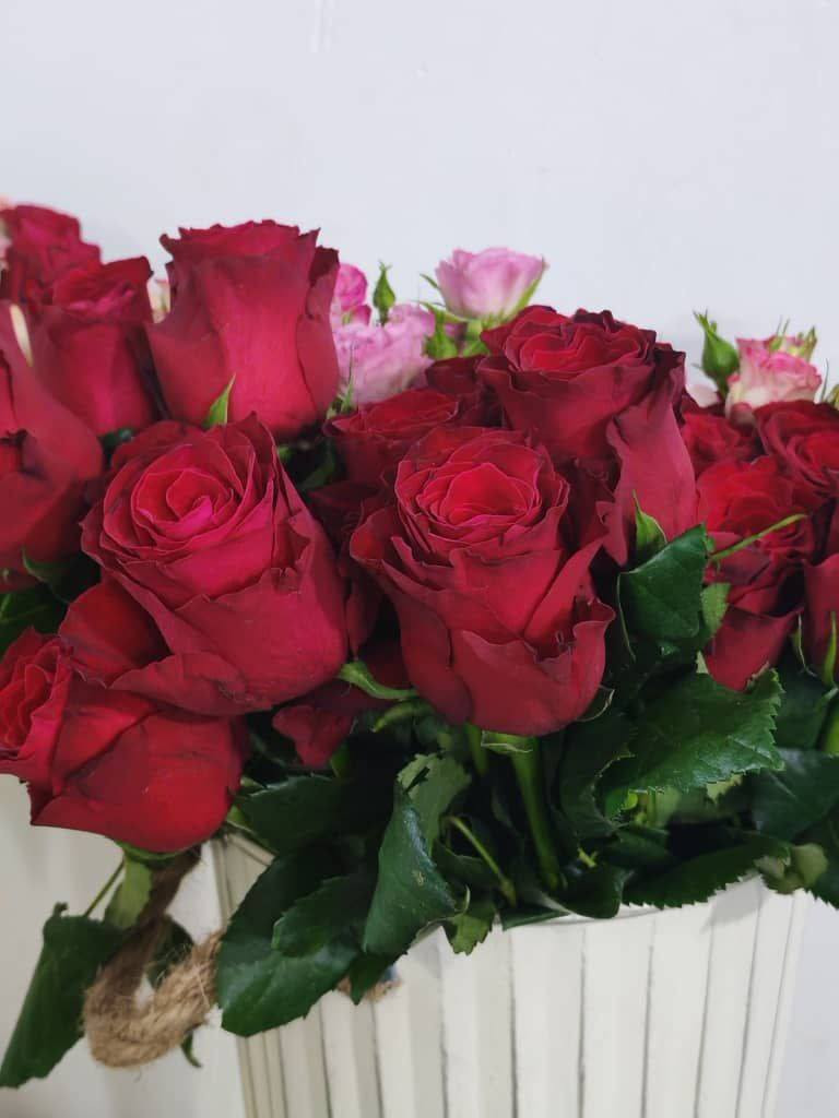 مكتبه زهره دبي
تجهيز باقات الورود
تخرج الكليات
عقد زواج
هديه الام
هديه الصديق
هديه الاب
كل ماتحتاجه من هدايا وباقات الورد الطبيعي والورد الاصطناعي
العنوان
الحيره الشارع الطولي قرب المضمد
 عقيل عبد مسلم
***********
حسين العبودي
