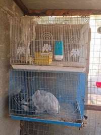 خانات • للبيع • ديكور