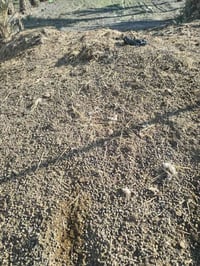 ديمن نضيف  اللبع ٠٧٨٠٩٧٠٩٤٦٢