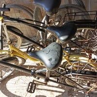 بسكلات حاويه نضيف للبيع 26 كيمو و20 ابو طبكه  و16 كلهن حاويه نضيف ابيع...