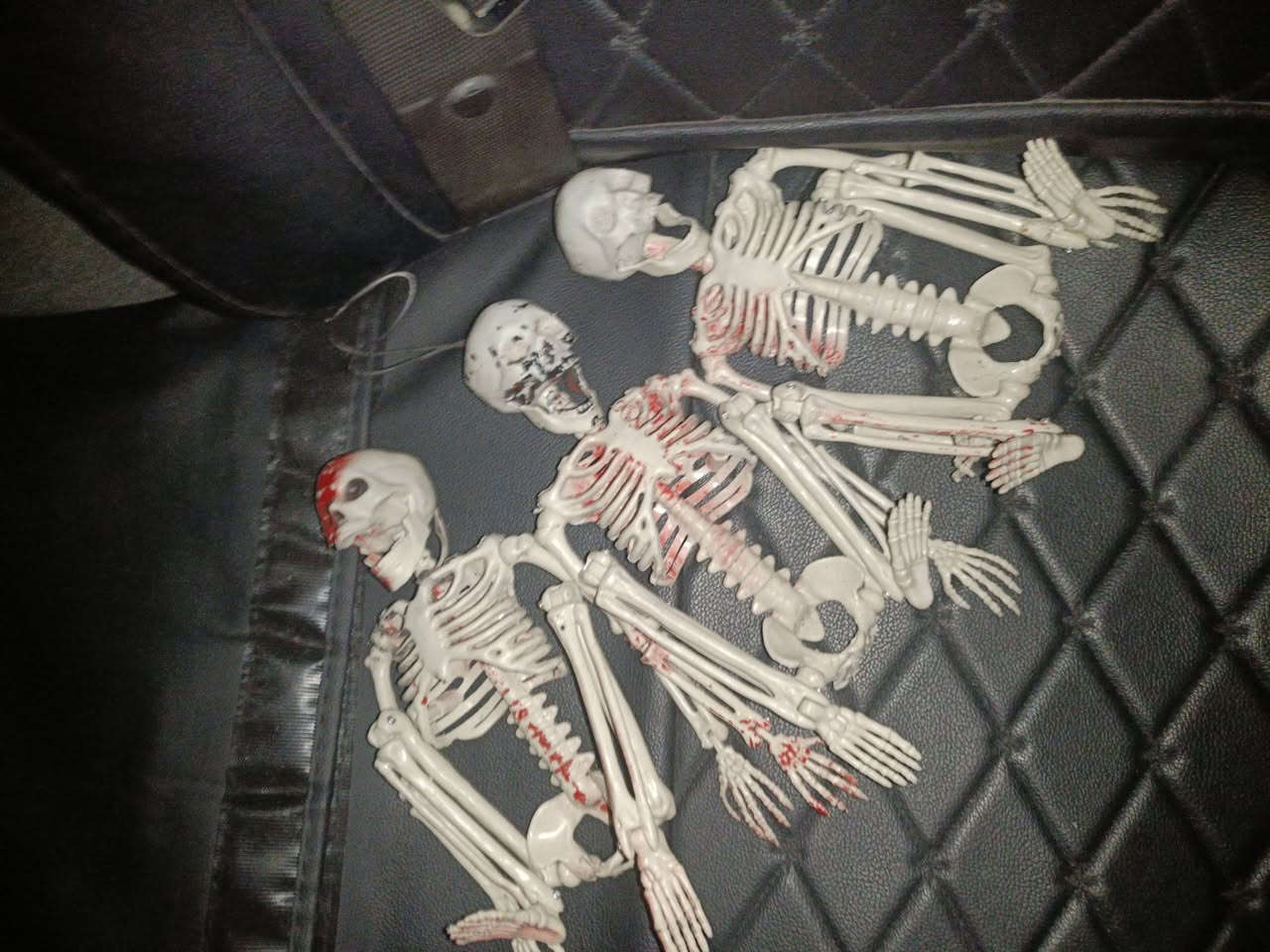 هيكل عظمي عدد 3 كل تفاصيل عن تتحرك تكدر تخليهم بالشكل اليعجبك واي حركه تعليميات يعتبرن حجم تقريباً 30 سم ب 25 ألف كلهم 3 قطع مكاني بغداد شراي يجي خاص او يتصل هذا رقمي ***********
