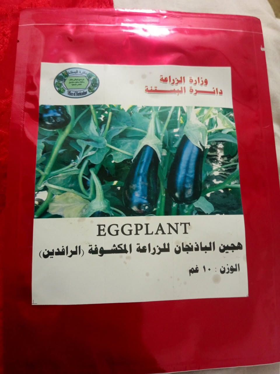 يوجد لدينا حب باميه تونسيه وحب بيذنجان توليدالرفدين  اسود +اخضر درجه أولى السعر الاستكانه5000 رقم*********** قريه العباس والنجفيه
