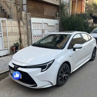 كورلا ليفان • ٢٠٢٥ • طخة خفيفة