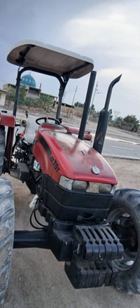 كاروبه هنديه • بصراويه • القرنه