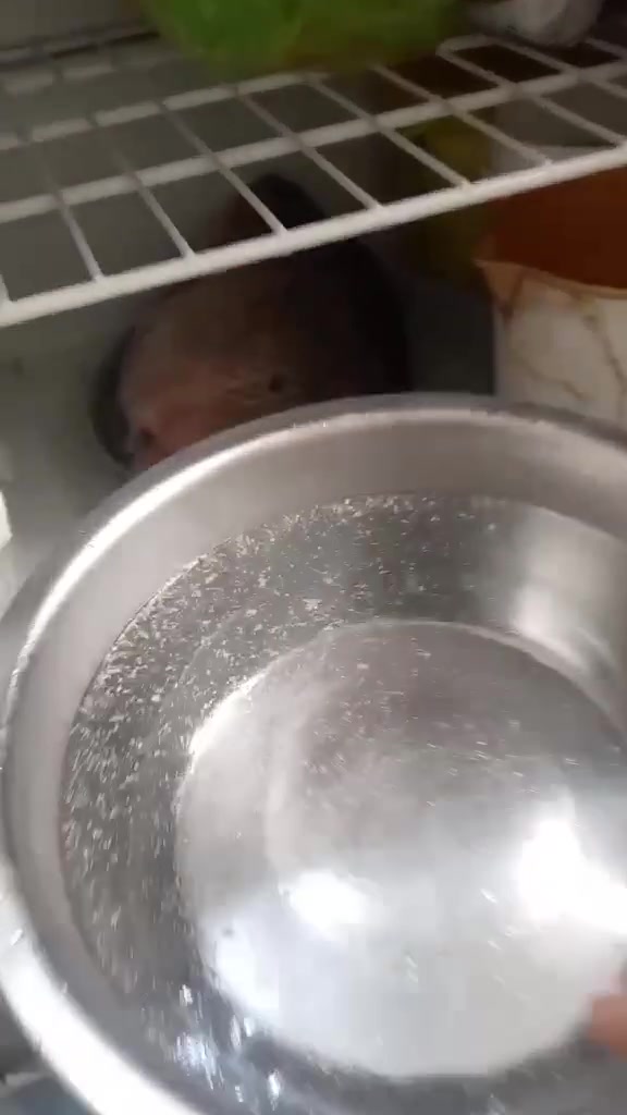 ثلاجه نوعيته فستل نضيفه فول 9قدام.   135.  بغداد 
العنده أغراض غرفه نوم انشرهن وعلبيع إلي نسبه بسيطه يتفضل خاص 
تابعني ليصلك كل جديد


**إذا كنت صاحب هذا الإعلان وتريد حذفه لأي سبب، رجاءا أرسل رسالة إلى الدعم الفني**