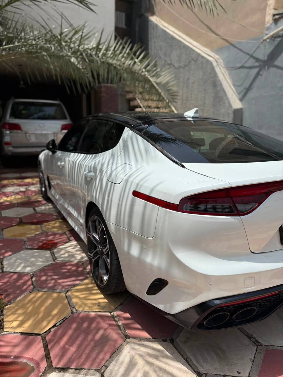 2022 GT2 اعلى مواصفات
⭕️بجم كبس حادث جانبي

ماشيه 42,000 km

18,900 $ السعر

***********
