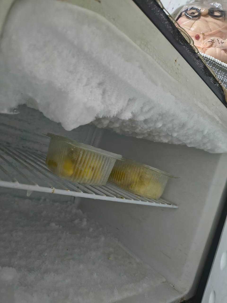 ثلاجه حجم وسط شغاله وتجمدسعر120بي مجال النجف, العراق


**إذا كنت صاحب هذا الإعلان وتريد حذفه لأي سبب، رجاءا أرسل رسالة إلى الدعم الفني**