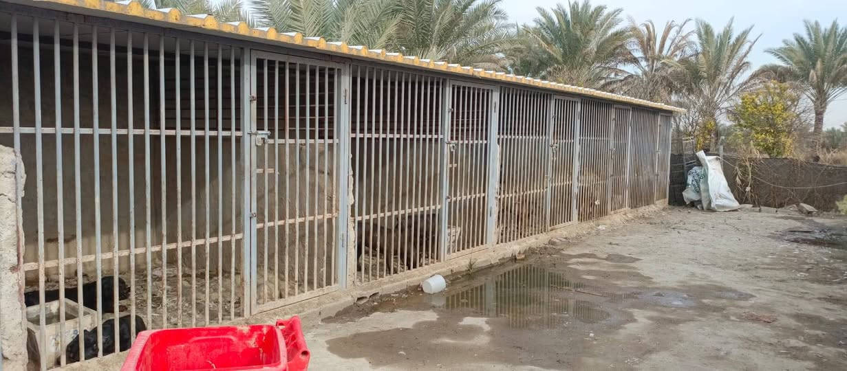 650 متر ركن للبيع طابو زراعي سند 25 تتوفر فيها جميع الخدمات ماء اساله وماء سقي وكهرباء ومسيج بالكامل شارع رئيسي 12 متر السعر 55 مليون وقابل للتفاوض العنوان بغداد الراشديه تبعد عن بوابة بغداد الحسينيه 7 دقائق للاستفسار الاتصال على الرقم *********** مكتب العبيدي للعقار
