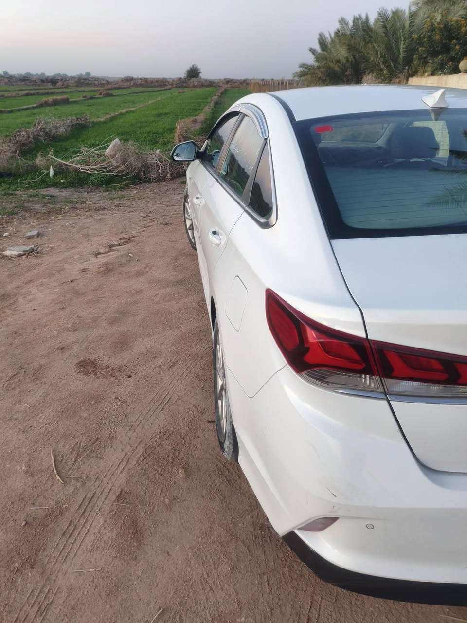 سلام عليكم سوناته 2022
وارد كوري غاز اصل مواصفات مري شفط كامره حساسات تبريد قطعتين شاشه ساره جاهزه من كلشي مال بيت مال جناي رقم مثنى ***********
