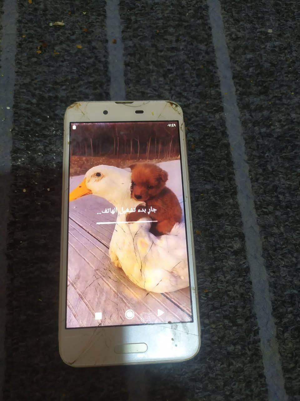 _يالله تلفونات بيع رخيص شرط الفحص بيع مستعجل تلفونات بيت..


**إذا كنت صاحب هذا الإعلان وتريد حذفه لأي سبب، رجاءا أرسل رسالة إلى الدعم الفني**