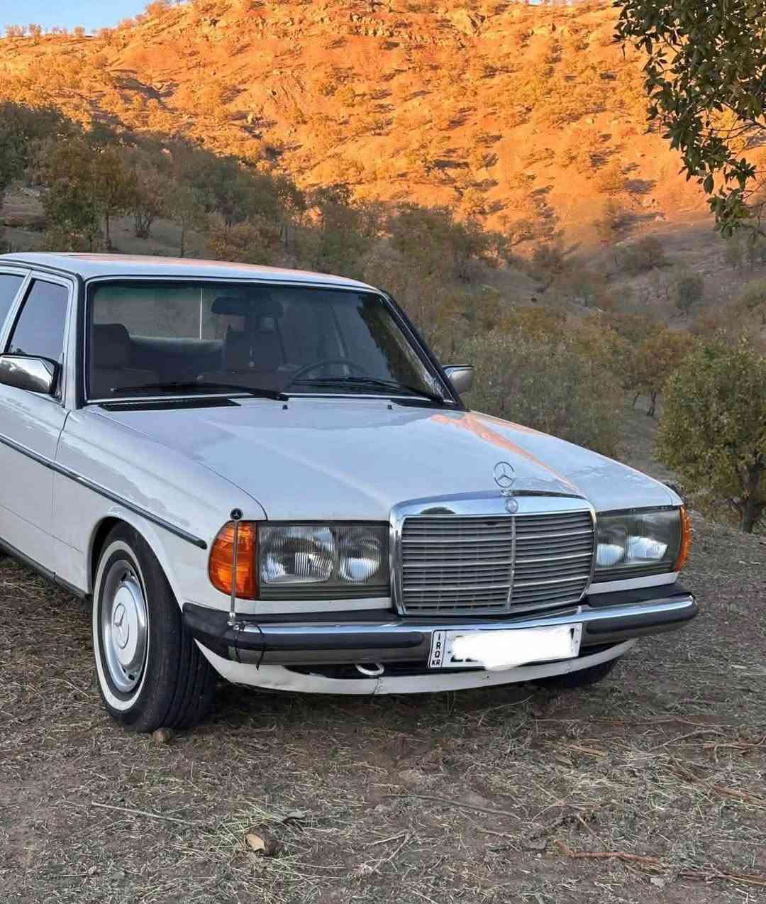 مارسيديس ١٩٨٤ بةنزين گير توماتك  بي صبوغ
 گير مةكينەی بەطه تەبريد و تةقةو رةقة بةشةرت  
زور خاوينة رةقةم و سەنەوی نوية تا ٢٠٣٠
تەحویل و غڕامە بەشەرت  

***********
شوين سوران سوران, أربيل
