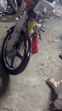 الرقب • واتساب فقط