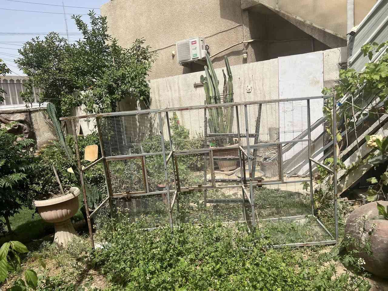 للبيع قفص حديد


**إذا كنت صاحب هذا الإعلان وتريد حذفه لأي سبب، رجاءا أرسل رسالة إلى الدعم الفني**