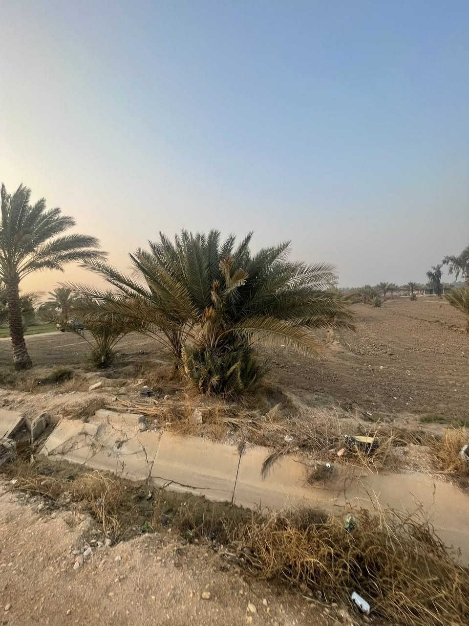 يالله 

ارض طابو زراعي سند 25 تحويل مباشر بأسم المشتري 

م 5 دونم 

مباشر على التبليط متوفر كافة الخدمات.  تبليط. ماء. كهرباء. مجاري. كامل فول خدمات 

شارع  بنات الحسن 
الارض بسعر مناسب جدا 

للاستفسار 
*********** حيدر 

*********** علي
