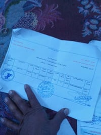 ستوته للبيع  موديل 22 جاهزه كامل قانع فحل عالي والي يريد يخابرني هاي ا...