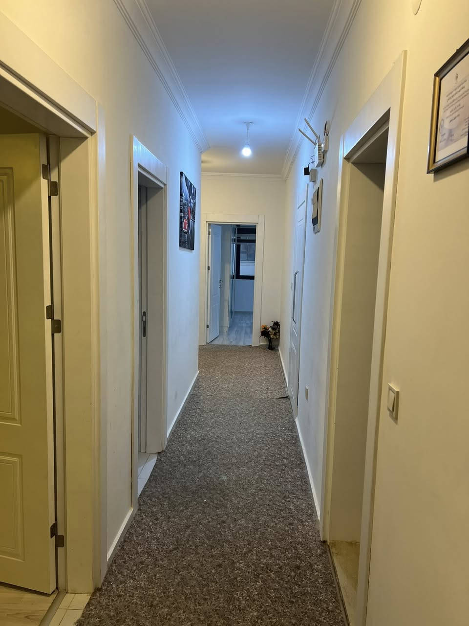 شقة للايجار  دهوك في روج ستي مالطا مؤثث للاتصال *********** او واتساب
