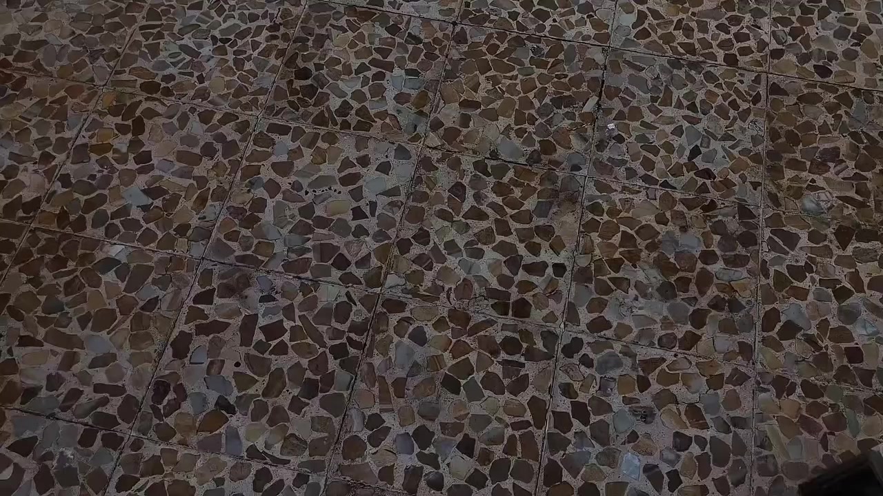 ماطور ريان F55
ملف 1200 W

سرعة 58 حقيقي 
ماطور مثل ما موضح كدامك شاحنتو اصليه كلشي بيه بلادي ما مبدل كلشي بيه فقط بيه هاي الطخات
سعر 700 وبيه مجال للشراي
استفسار *********** وموجود واتساب وماسنجر
