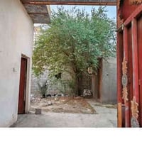 حي ام البنين • ١٠٠م • بيت ركن زراعي