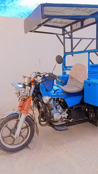 ستوته • نظيفه • اوراق كاملة