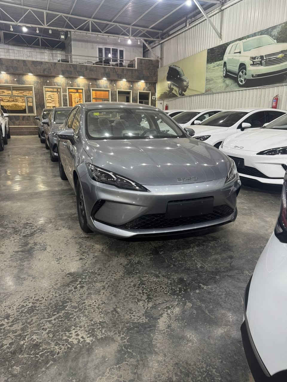 السلام عليكم يتوفر بي واي دي سيل 5 ودستروير نضام اقساط بدون كفيل مقدمه 70$ ورقه وشهري 500$ 
بغداد معارض البياع شركه تاج الدين
للاستفسار ***********
