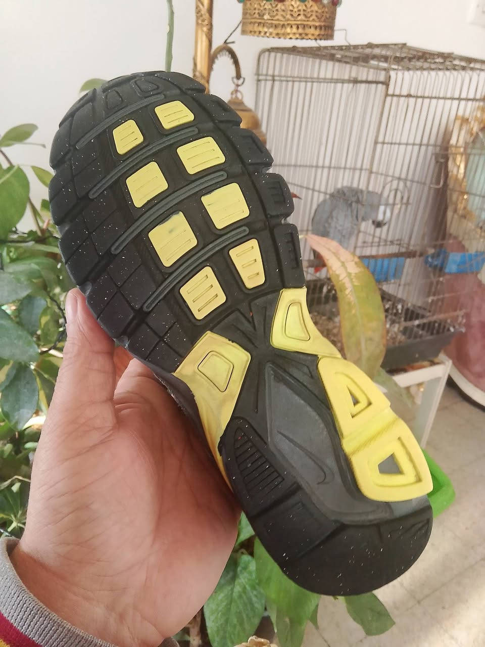 NIKE INITIATOR 
saiz.40/5
25/5cm
viatnam
للحجز والاستفسار راسلنا واتس اب وماسنجر عله الرقم الموجود*********** ابو أيمن
توجد خدمة توصيل كل المحافظات
