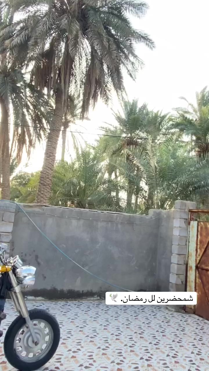 ستوته موديل 12اوراق اصولي مكفوله كفاله عامه الستوته كل عارضه جديد البدي قبل شهرين شاده موديل 25البدي محرك قبل 20يوم من شاده ضفيره كهربائيات كله شغاله نضيفه بمعنا الكلمه السعر مليون و675بيع مجال الي ما يعرف أسعارهن لا يتصل اعبر المنشور خاص ما متواجد باقي التفاصيل *********** الي ما يشتري لا يتعبني
