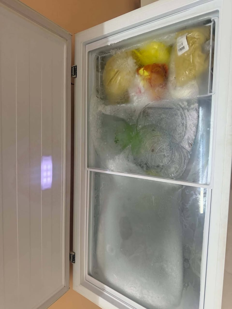 مجمده 14قدم نضيف كلش كلش فول تجميد ب300بيه مجال
بلازما نوع شونك حجم 32شغاله على فحص بدون نت ب125بيه مجال مكان بغداد العامريه


**إذا كنت صاحب هذا الإعلان وتريد حذفه لأي سبب، رجاءا أرسل رسالة إلى الدعم الفني**