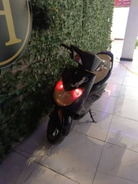 سكنس فحل • مراوس • للبيع