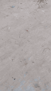 مكينة وكير • تايرات جديدة • ٢٠١٠