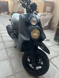 سكنس جبلي • مديل 14 • اوراق أصوليه