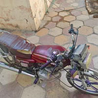 دراجة سفان • موديل 2020 • أوراق موجودة